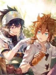 含羞草试验所登入入口